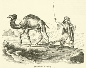 Um arado do Líbano (gravura) de French School