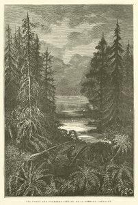 Uma floresta nos primeiros séculos do período Cretáceo (gravura) de French School