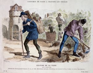 A cultura da vinha no século XV - em "Costume de Paris through the centuries" (Traje de Paris através dos séculos) de French School