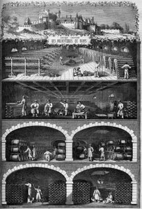 Viticultura: vista das caves de champanhe nos porões do antigo castelo dos arquéveques de Reims, Marne (51) de French School
