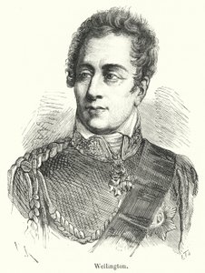 Wellington (gravura) de French School