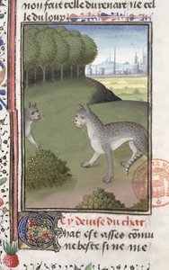 Gatos selvagens, do livro de caça por Gaston Phebus de Foix (1331-91) de French School