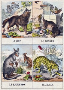 Lobo; Raposa; Kanguroo; Jaguar. Gravura em "Buffon Alphabet des Animaux". 3ª Série N 1. Imaging of Epinal, Epinal, final do século XIX. 16 páginas. Dim: 28x21cm de French School