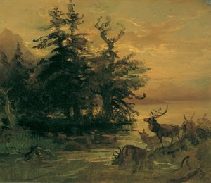 Cervos chafurdando na margem de um lago de montanha
