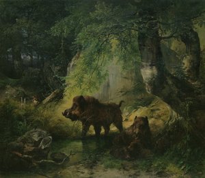 Javali e lobo
