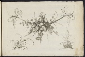 Festool van vruchten, bladeren en bloemen Diferente Nova Festa de Flores e Frutas (título da série) de Friedrich Jacob Morisson