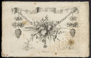 Diferente novo festão de flores e frutas de Friedrich Jacob Morisson