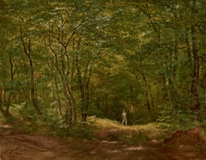 Caminhantes em uma paisagem de floresta