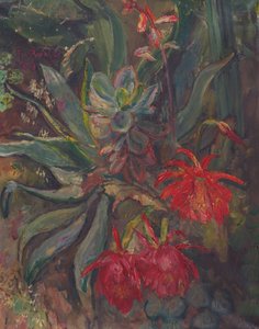 cactos florescendo de Friedrich Radler