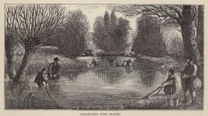 Coleta de Peixes (gravação) de Friedrich Specht