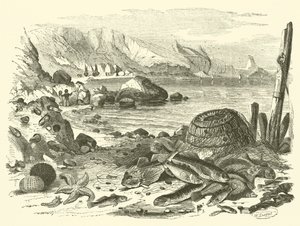 Pesca (gravura) de Friedrich Specht