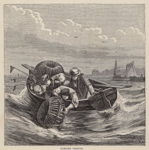 Lobster Fishing (gravura colorida) de Friedrich Specht