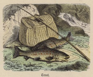 Truta (gravura colorida) de Friedrich Specht