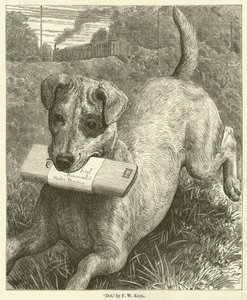 Cão (gravura)