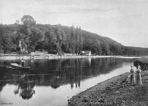 Cliefden Woods, c1896 de Frith and Co