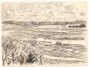 Paisagem coberta de musgo de Fritz Syberg