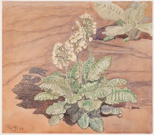 Cultivo de feijão-fradinho ao sol de Fritz Syberg