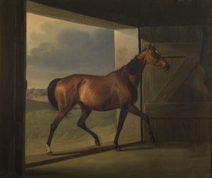 Juta de Fritz Thomsen