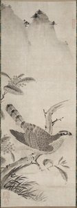 Falcão de Fujiwara Masayoshi