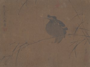 Mynah no Reed. de Fulan Taorên.