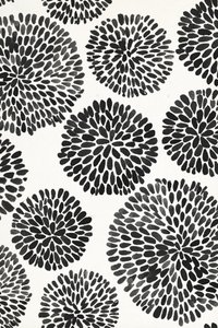 Black Ink Botanicals de Fun Qui