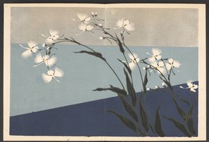 Shasei sôka môyô, Padrões de plantas e flores da vida