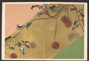 Shasei sôka môyô, padrões de plantas e flores da vida