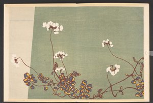 Shasei sôka môyô, padrões de plantas e flores da vida