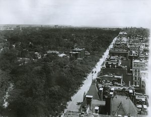 Quinta Avenida, olhando para o norte do telhado do Metropolitan Club na 61st Street, New York City, c.1904