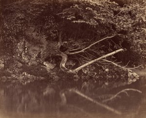 Margem do Rio no Vale de Neath, c. 1855. de G. B. Gething