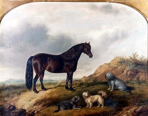 Um Pónei e três Terriers em uma paisagem de G. Jackson