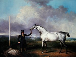Cavalheiro segurando um cavalo de corrida cinza em um campo (óleo sobre tela) de G. Jackson