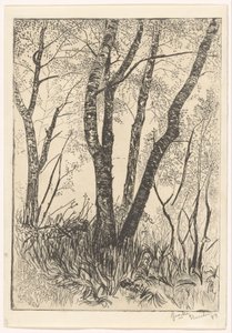Árvores na grama alta de G. van der Mey (signed by artist)
