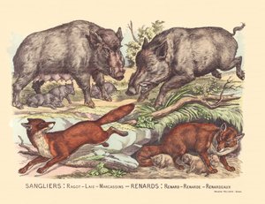 Página 9: Javalis: fofoca, banha, marcassinas Raposa: raposa, raposa, raposa de Gabriel Gostiaux