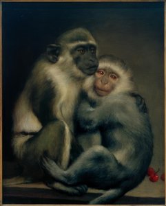 Abelardo e Héloise