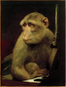 Macaquinho ao piano