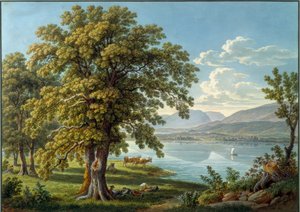 Blick von der St. Petersinsel auf den Bielersee von Gabriel Lory