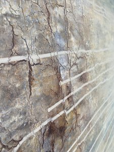  de Gabriela Aleksandra Szuba