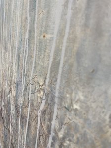  de Gabriela Aleksandra Szuba