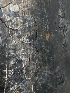  de Gabriela Aleksandra Szuba