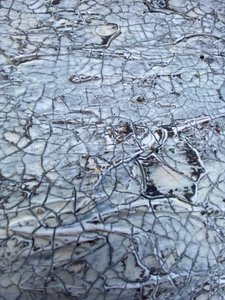  de Gabriela Aleksandra Szuba