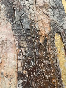  de Gabriela Aleksandra Szuba