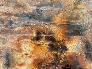  de Gabriela Aleksandra Szuba