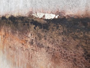  de Gabriela Aleksandra Szuba