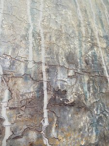  de Gabriela Aleksandra Szuba