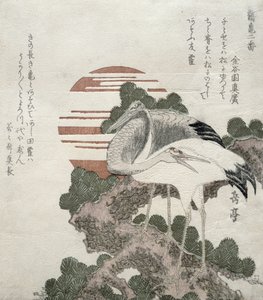 Guindaste (Tsuru) da série 2 desenhos de guindastes e tartarugas, 1818-30 (xilogravura)