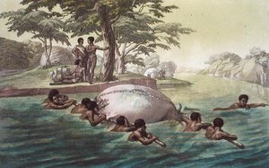 Gingri Tribesmen Crossing the River Zebee, placa 67 de 