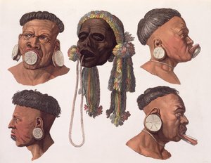 Cabeças de índios botocudos (gravura a cores)