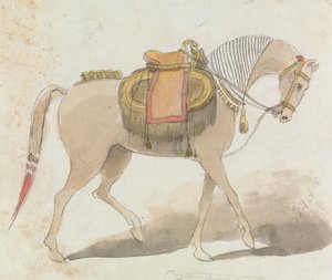 Cavalo Selado Elaboradamente