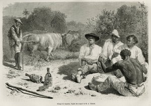Um grupo de vaqueiros jogando cartas e bebendo álcool, perto de seus rebanhos de bois, gravados após um desenho de G.Vuillier, para ilustrar a história De Cayenne aux Andes, de Jules Crevaux, médico da marinha francesa, em 1878-1879, publicada no tour du m de Gaston Vuillier